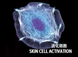 Skin Cell Activation Johor Barhu (JB) | Aesthetic Clinic Johor Bahru (JB) | Aesthetic Treatment Johor Bahru (JB)